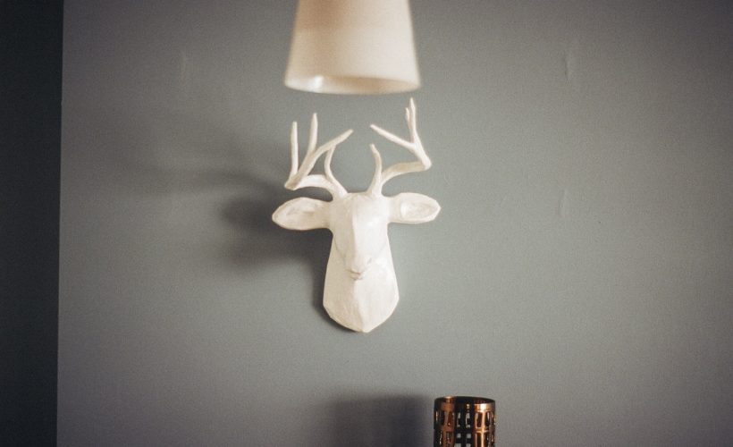 wall-home-deer